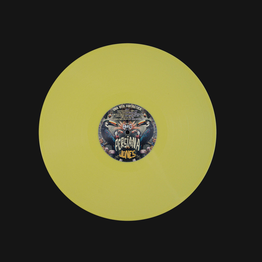 Una Vita Fantastica Vinile