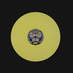 Una Vita Fantastica Vinile