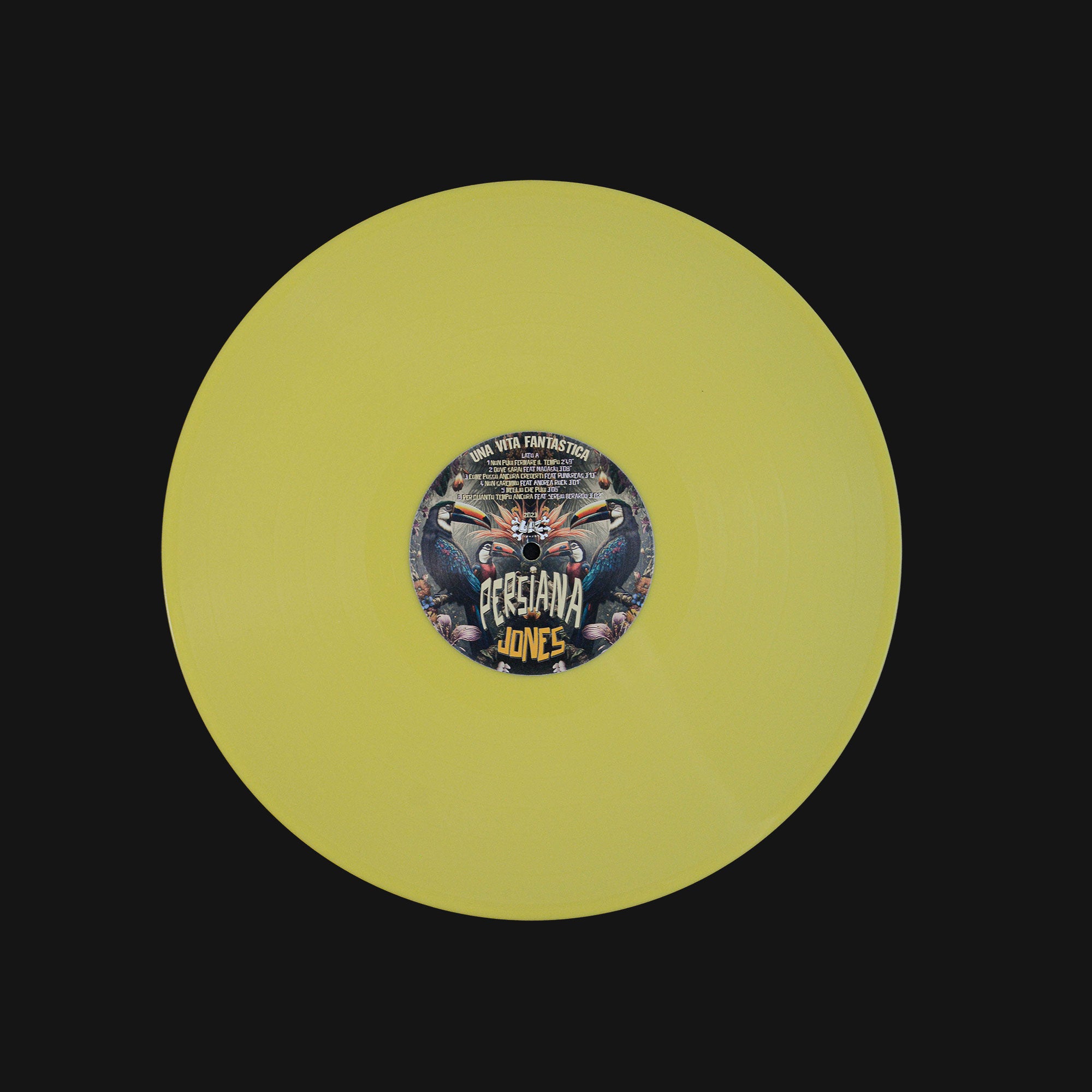 Una Vita Fantastica Vinile