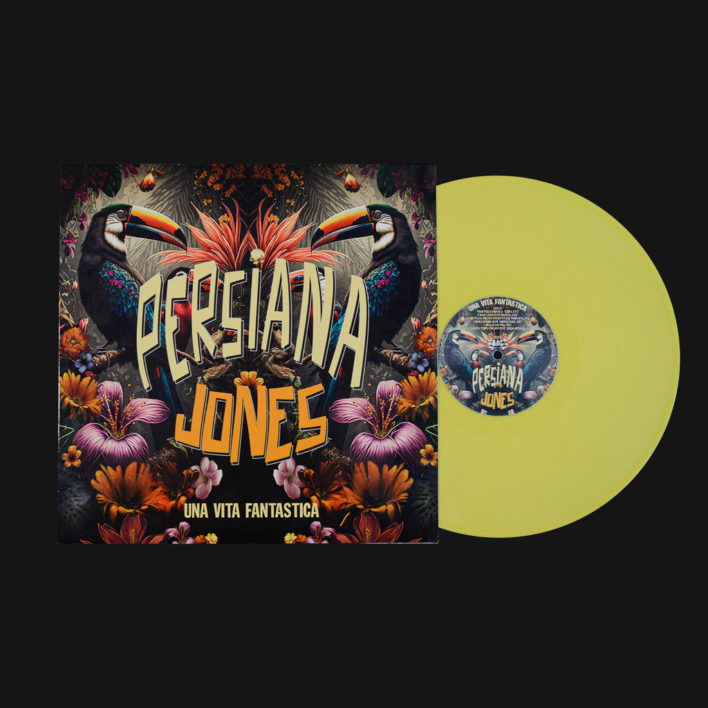 Una Vita Fantastica Vinile